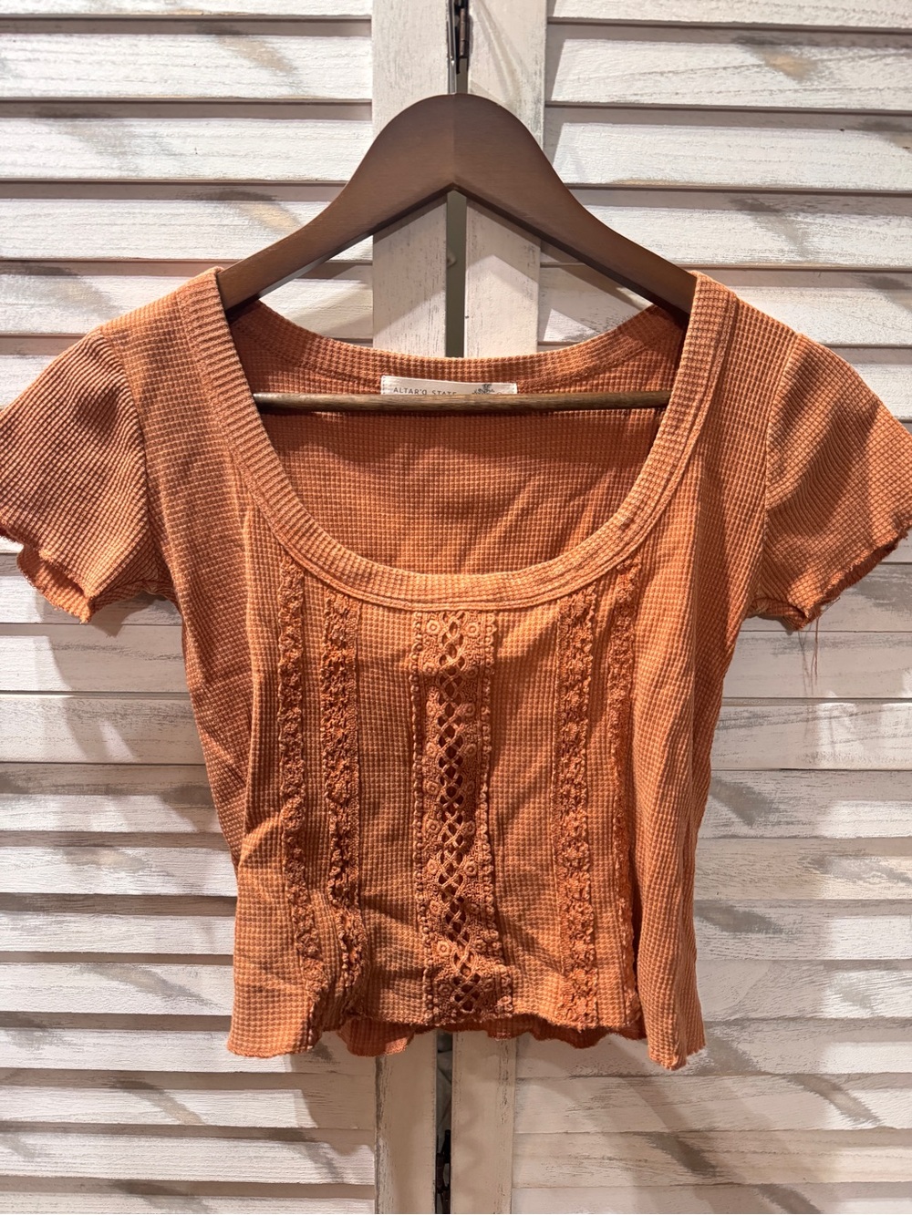 Altar'd State Terracotta Lace-Trim Cropped Scoop Neck Top